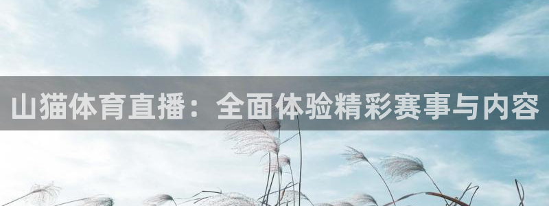 火凤体育免费直播入口：山猫体育直播：全面体验精彩赛事与内容