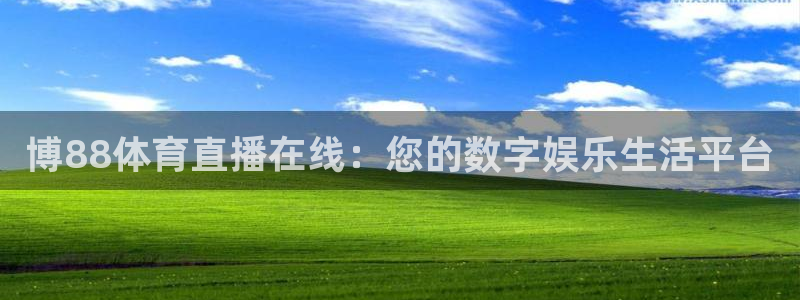 火凤直播体育免费直播火箭：博88体育直播在线：您的数字娱乐生活平台