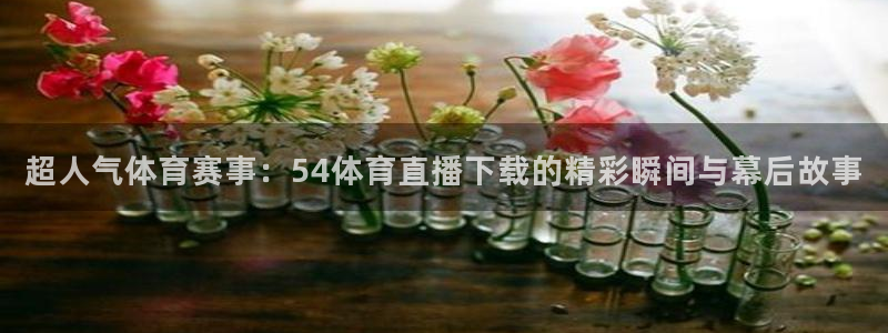火凤直播体育足球：超人气体育赛事：54体育直播下载的精彩瞬间与幕后故事