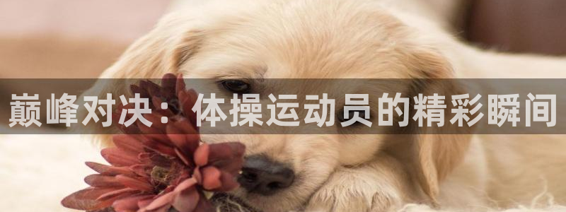 火凤直播足球：巅峰对决：体操运动员的精彩瞬间