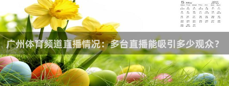 火凤足球直播：广州体育频道直播情况：多台直播能吸引多少观众？