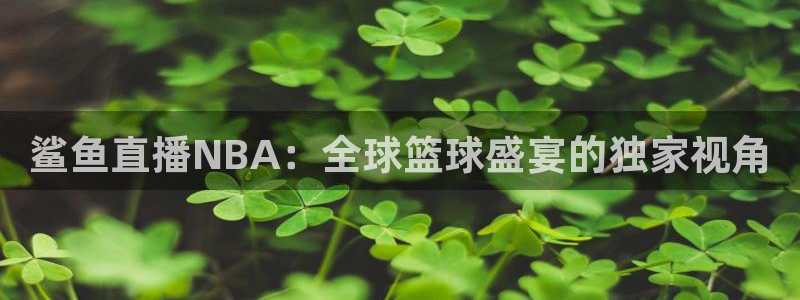 火凤直播体育免费直播火箭：鲨鱼直播NBA：全球篮球盛宴的独家视角