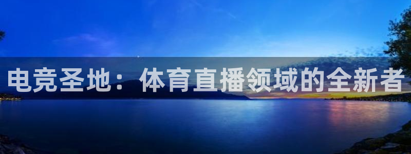 火凤直播体育官网：电竞圣地：体育直播领域的全新者