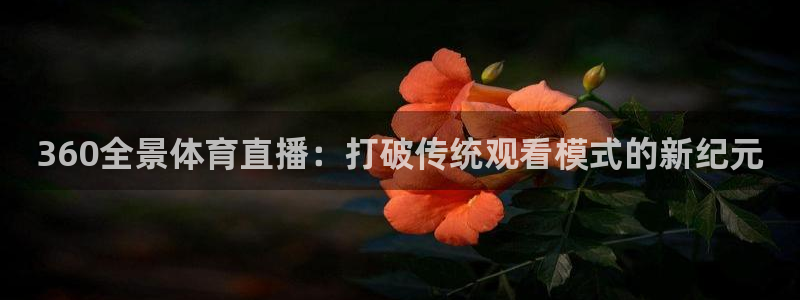 火凤足球直播：360全景体育直播：打破传统观看模式的新纪元