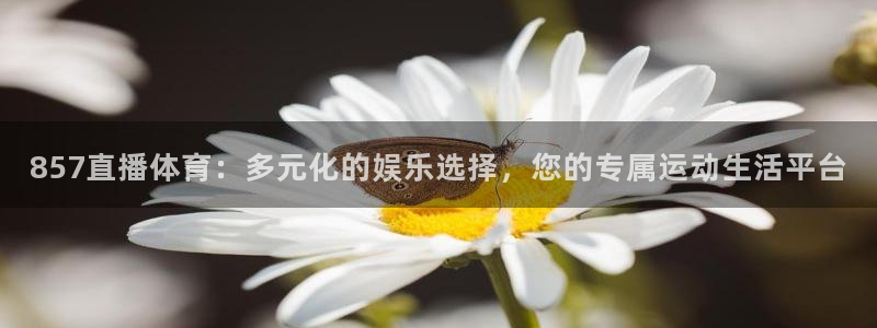 火凤直播体育官网：857直播体育：多元化的娱乐选择，您的专属运动生活平台