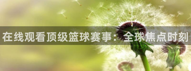 火凤直播体育官网入口在线观看：在线观看顶级篮球赛事：全球焦点时刻