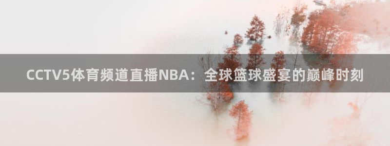 火凤直播体育官网入口在线观看：CCTV5体育频道直播NBA：全球篮球盛宴的巅峰时刻