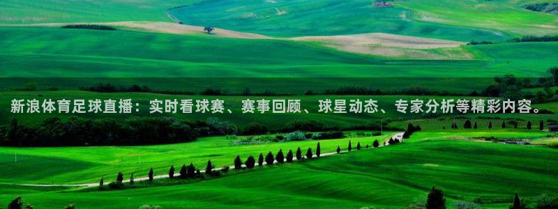 火凤足球直播免费观看全部：新浪体育足球直播：实时看球赛、赛事回顾、球星动态、专家分析等精彩内容。